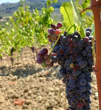 Farmház Sotto La Rocca